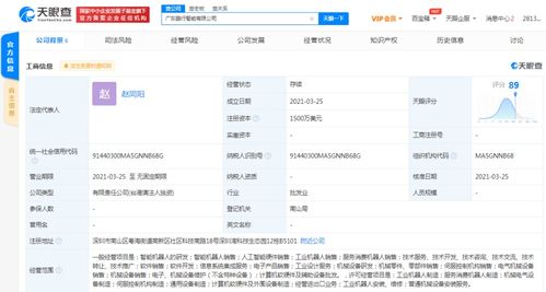 信息系統集成服務的價值與應用